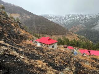 Jungle Woods Homestay - 5