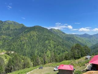 Jungle Woods Homestay - 4