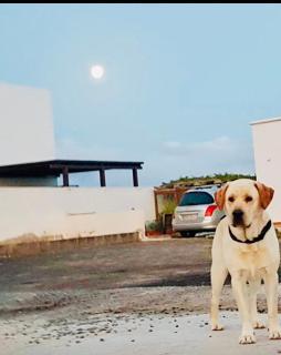 Casa Vitto - Tinajo - 6