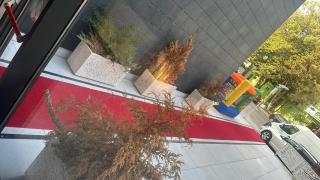 Hotel Eforie Nord - 9