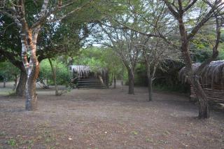 Sibaya Camp & Backpackers - Mbazwana - 7