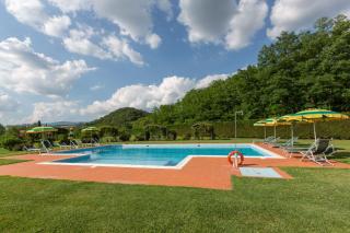 Agriturismo Francini - Dicomano - 1