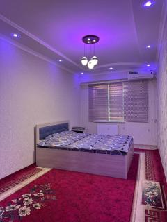 Bukhara Lux apartment - 8