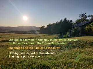 Old Ing - Horton in Ribblesdale - 9