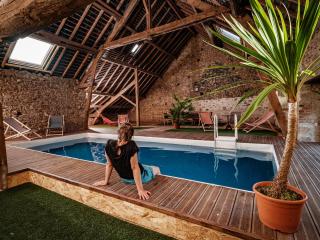 Gite piscine intérieure privée, wi fi très haut débit - Saint-Dizier-les-Domaines - 6