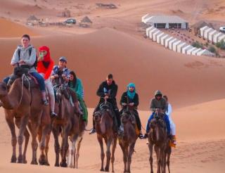 Sahara Delight Camp - Merzouga - 7