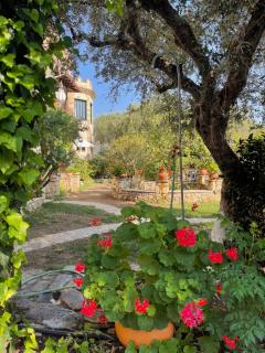 Castello Bellos studios - Marathias - 5
