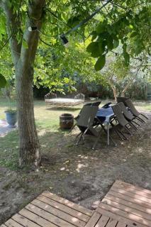 Studio île de la Barthelasse- Avignon - 4