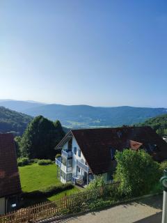 Ferienwohnung 37 Sonnenwald - Langfurth - 7