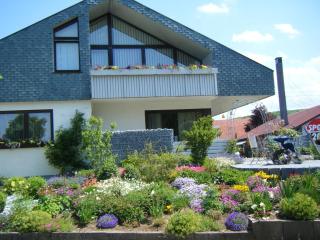 Haus Müller - - 9