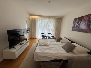 Quiet 1BR in the city center - Hammer 4 - Zurich - 9