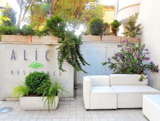 Residence Alice - 4