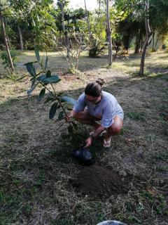 Melody Surf Ekas Lombok - Ekas - 7