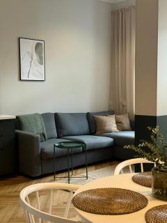 Apartamenty 1M11 Centrum - opcjonalne miejsce parkingowe, dostęp na kod, NETFLIX - Łódź - 5