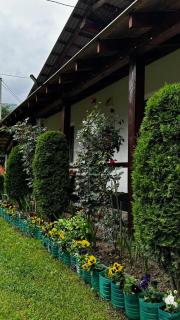 Dacha PODOBOVETS 127 - Podobovets - 9