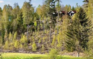 Lovely Home In Årjäng With Sauna - Årjäng - 4