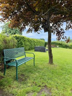 Ferienhaus Winterberg Lodge - 7