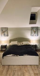Apartmán u Hodináře - Mikulov - 4