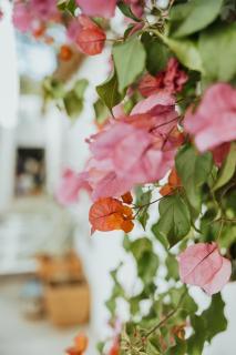 Yellowwood House - 2