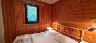 Etendard N 522 - 4P7 - Les Deux Alpes - 8