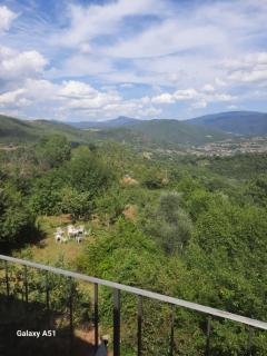 casa delle arti - Salutio - 3