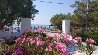 Avra Beach - Ferma - 0