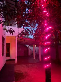 The Swan House - Galle - 3