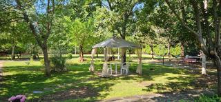 Hotel Liani - All Inclusive - Slantchev Briag - 2