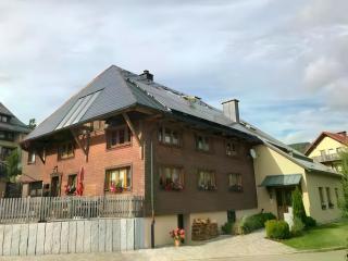 Connerhof Todtnauberg - Todtnau - 0