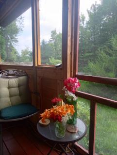 Tiny Whimsical House Cabin Adirondacks, NY - Gloversville - 6