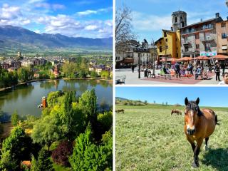 Cal Batllia 2 - Puigcerdà - 7