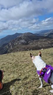 Bobbi's Bothy - 6