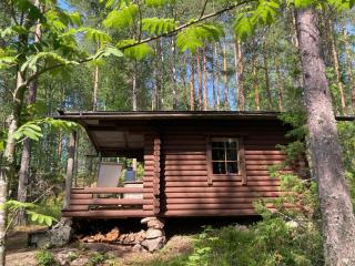 Metsäsydän mökki 3 Vinksinvonksin - 1