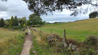 Whimsy by the Peaks, private parking, fenced garden, good walks, pub - 6