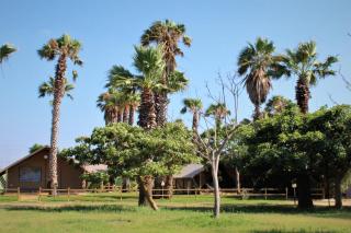 Village Glamping Biscione - 7