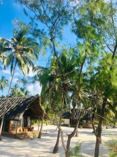 Banja Amani Lodge Mafía Island - - 7