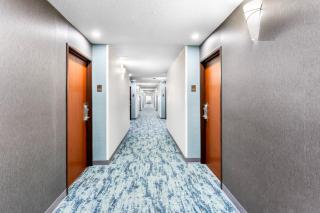 comfort inn - 8