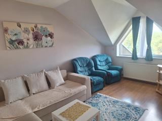 Apartment Štulović - Zlatibor - 4