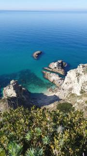 Villa Anna Maria - Capo Vaticano - 1