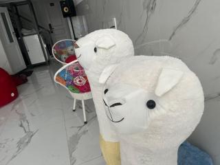 LLAMA Homestay Hotel - 8
