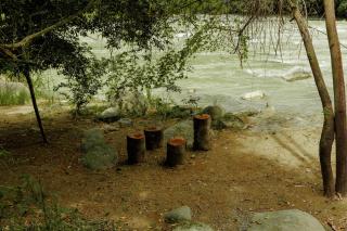 Camping Finca Planeta Sano - 9