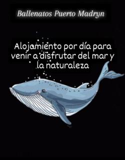 Ballenatos2 - Puerto Madryn - 6