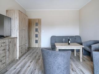 Platinium Lofts Old Town Grobla - Danzig - 8