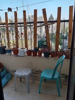 Shishi apartment - 0