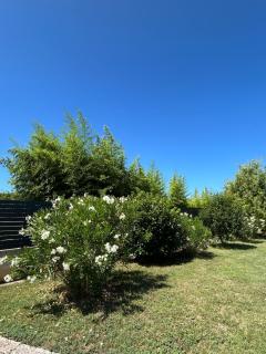 Villa Sessa - Rovinj - 8