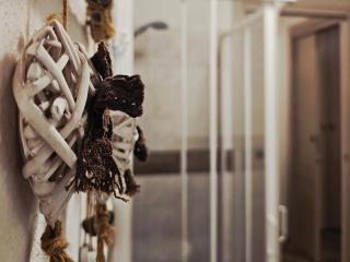 "Traineau"alloggio in villa tipica - 1