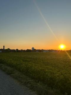 Dannerhof - Tinyhaus - 8