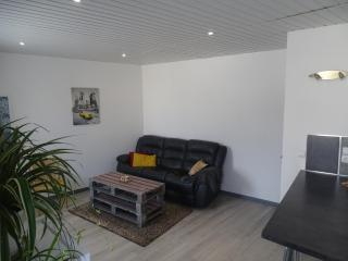 Appartement proche voie verte et canal - 9