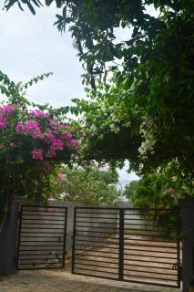 Private Farm House in Moinabad with Tree house & Garden, pets allowed - Venkatāpur - 5