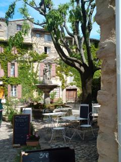 Gîte Lisianthus - Cabrières-dʼAvignon - 9